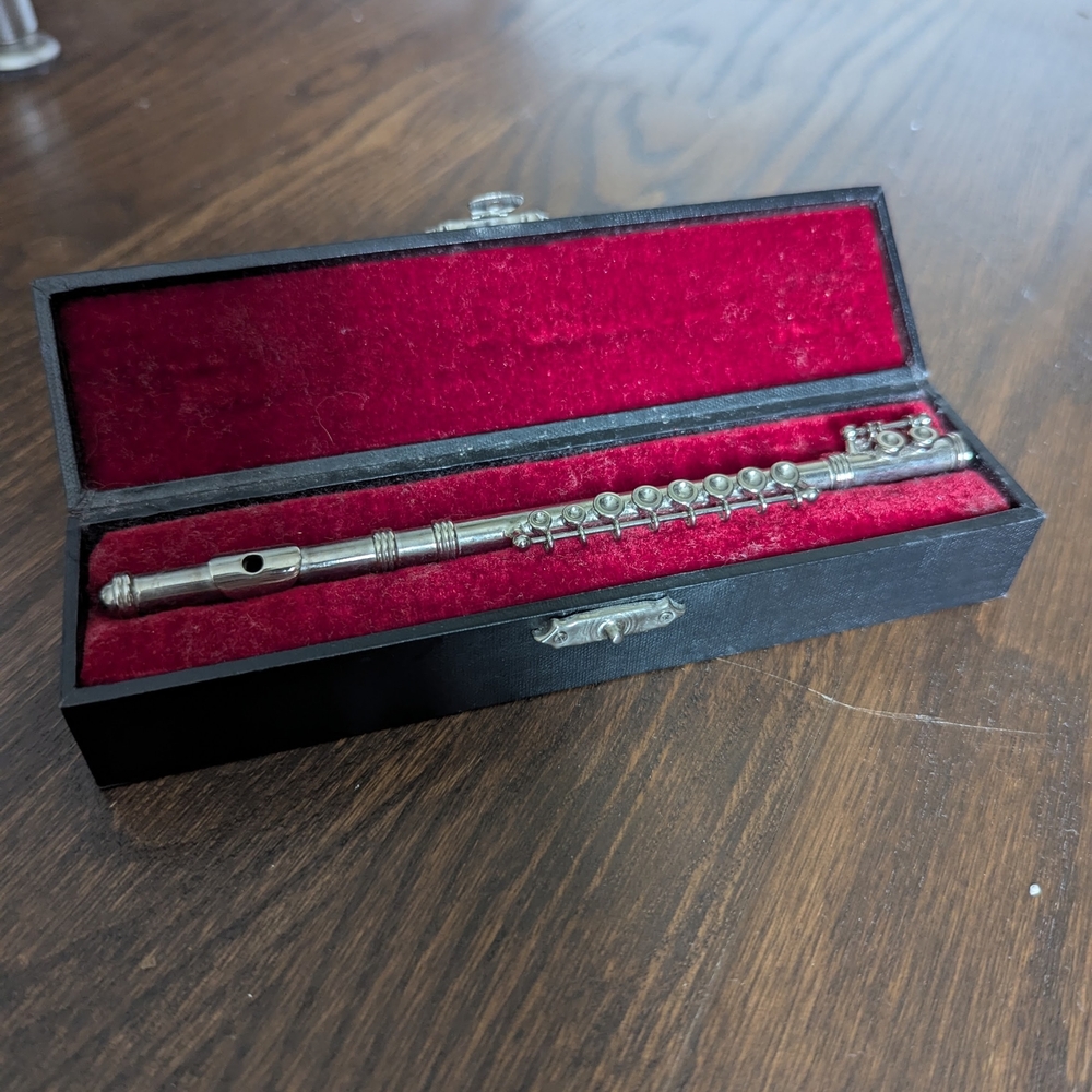 Silver Flute with Black Case
